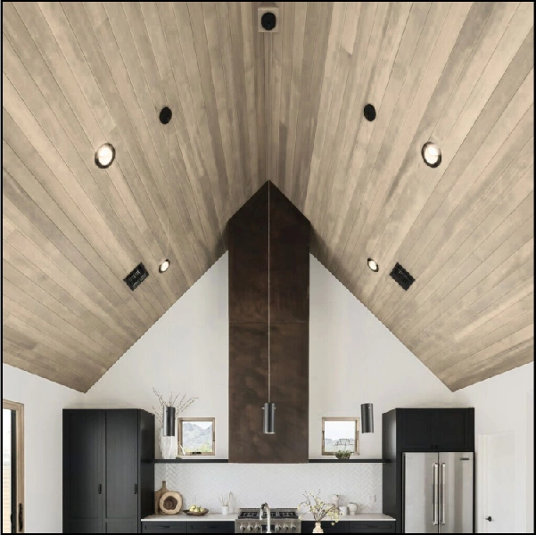 iPanel Lite Fine Wood Ceiling Sheet in Sri Lanka iPanel Lite Fine Wood Ceiling Sheet in Sri Lanka